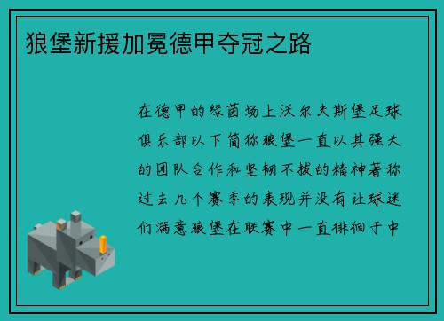 狼堡新援加冕德甲夺冠之路